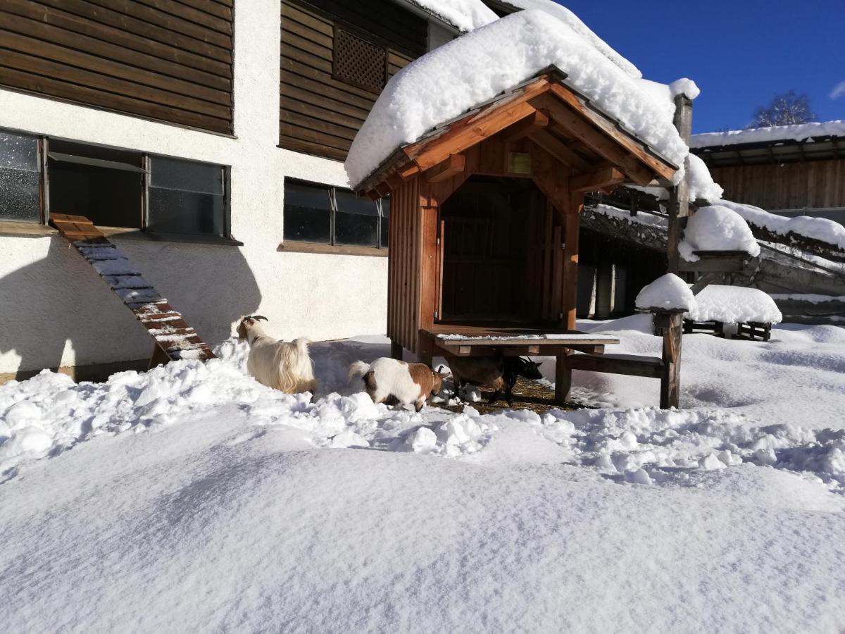 Zweimaederlhaus Apartment Bad Mitterndorf Exterior photo
